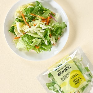 바른팜 샐러드 야채 100g 5팩 / 샐러드 무농약 유러피안 채소